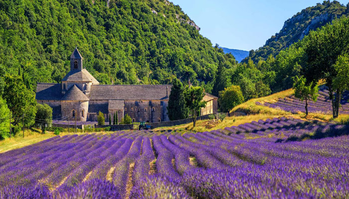 Investir en Provence